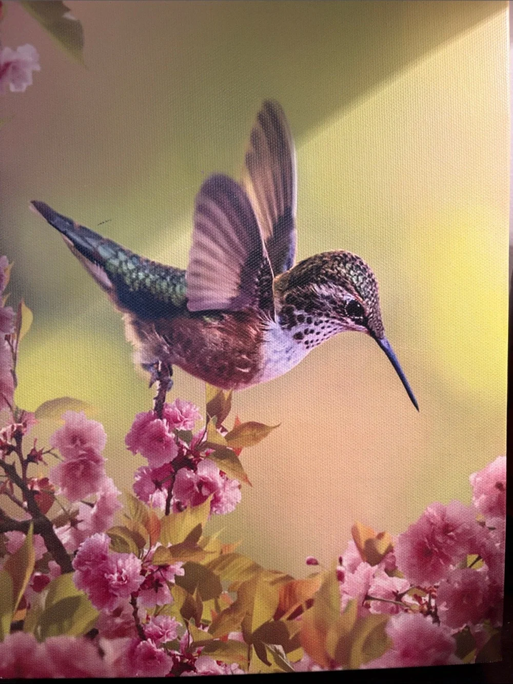 Hummingbird Floral Canvas Wall Art Set - Pink & Green - Picture 9 of 10